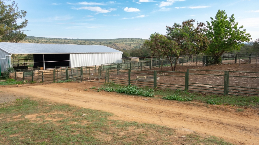 Commercial Property for Sale in Fort Beaufort Eastern Cape